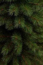 2dekans | Black Box Trees Sotka Smalle Kunstkerstboom - H185, Diversen, Kerst, Ophalen of Verzenden, Zo goed als nieuw