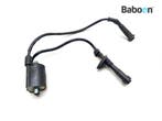 Bobine Honda VT 600 Shadow 1988-1998 (VT600 PC21), Verzenden, Gebruikt