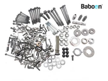 Bouten en Moeren Kawasaki VN 1600 Mean Streak 2004-2008, Motoren, Onderdelen | Kawasaki, Verzenden, Gebruikt