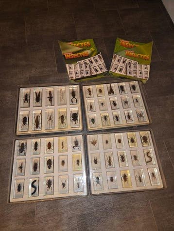 Themacollectie - Authentiques Insectes & Cie - Collectie van, Nieuw