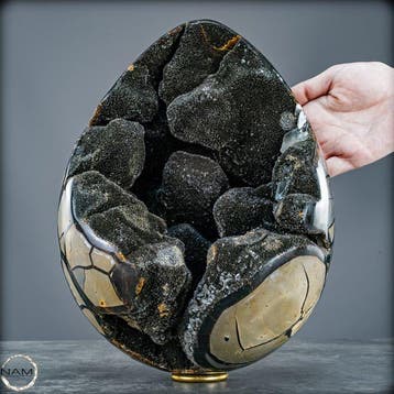 Septarien Calciet Geode Ei – Monumentaal Luxeobject uit, Verzamelen, Mineralen en Fossielen