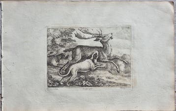 Francis Barlow (c. 1626 – 1704) - Jan Griffier I (c.1652, Antiek en Kunst