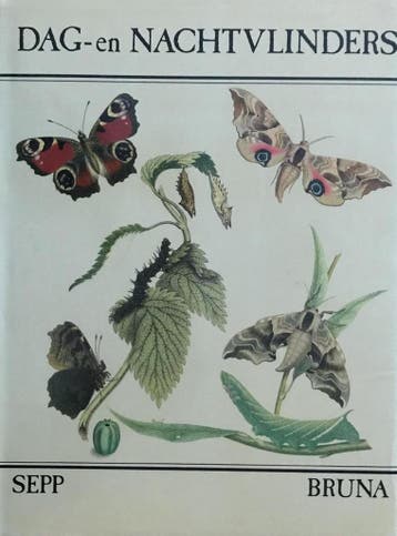 Dag- en nachtvlinders - Sepp 9789022952368, Boeken, Verzenden, Gelezen, Sepp