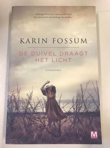 De duivel draagt het licht. - Karin Fossum 9789460685279, Verzenden, Zo goed als nieuw, Karin Fossum