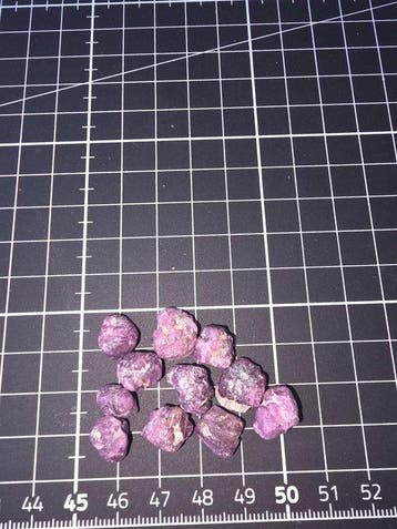 Robijn Ruw- 20 g - (11)
