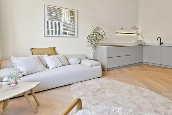 Appartement Jan van Nassaustraat in Den Haag, Huizen en Kamers, Huizen te huur, Via bemiddelaar, Den Haag, Appartement