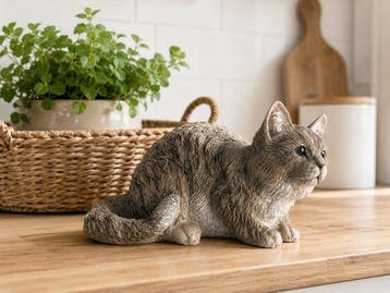 Beeld, garden statue cat - 17 cm - polyresin