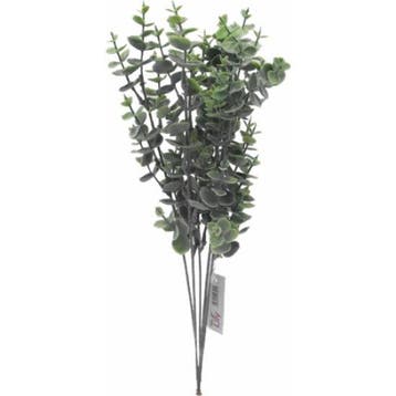 Eucalyptus tak Groen 39 cm bundel 6 stuks, Ophalen of Verzenden, Nieuw