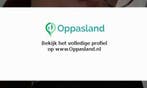 Ik ben Victoria en ik zoek oppaswerk in Nijeveen.