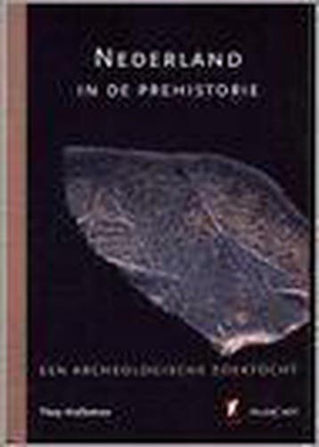 Nederland in de prehistorie - T. Holleman 9789065335463, Boeken, Verzenden, Zo goed als nieuw, T. Holleman