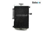 Radiateur Suzuki AN 650 Burgman 2002-2004 (AN650), Verzenden, Gebruikt