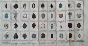 Jan Floris Martinet - Katechismus der natuur - 1777-1779, Antiek en Kunst