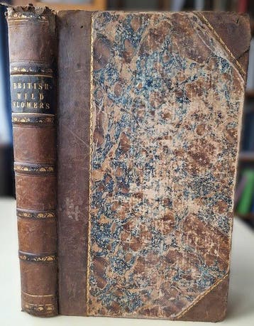 John E. Sowerby & C. Pierpoint Johnson - British Wild