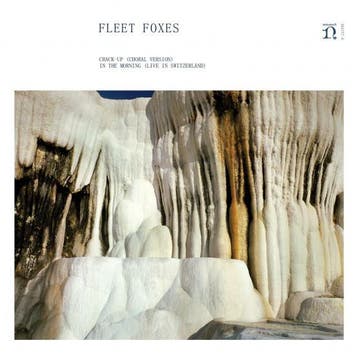 vinyl single 7 inch - Fleet Foxes - Crack-Up (Choral Vers..., Verzenden, Zo goed als nieuw, 7 inch, Overige genres