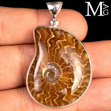 Jurassic Jewellery - Zilveren hanger van sterling-zilver met, Verzamelen