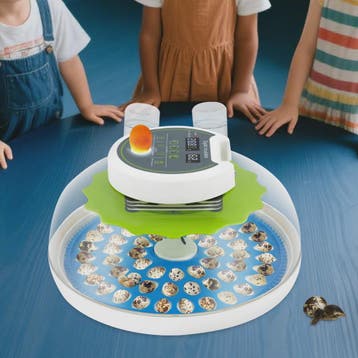Automatische Broedmachine voor 60 Eieren met Temperatuurrege, Verzenden, Nieuw