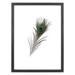 Fotolijst Dubbelglas 40x40 Floss, Nieuw