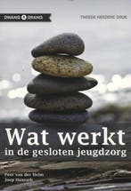 9789088503771 Wat werkt | Tweedehands, Verzenden, Zo goed als nieuw, Peter Van Der Helm