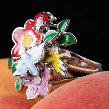Zilveren emaille ring – Betoverde tuin met geluksbrengend, Antiek en Kunst
