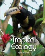 Tropical Ecology 9780691115139, Boeken, Verzenden, Zo goed als nieuw