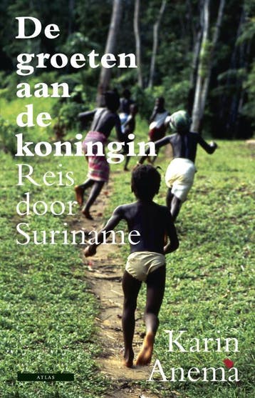 De groeten aan de koningin - Karin Anema 9789045017488, Boeken, Verzenden, Gelezen, Karin Anema