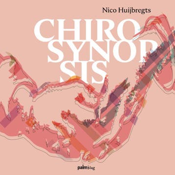 Chirosynopsis | Nico Huijbregts, Boeken, Ophalen of Verzenden, Zo goed als nieuw, Nico Huijbregts