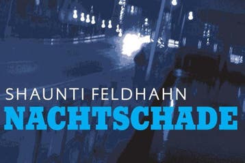 Nachtschade / Dwarsligger / 238 - Shaunti Feldhahn, Verzenden, Gelezen, Shaunti Feldhahn