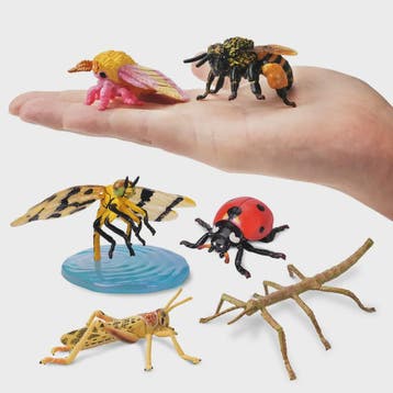 Toymany 12-delige Insecten Speelgoed Set - Realistische Mini