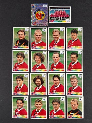 1998 Panini France 98 World Cup, Norway complete team #67/84, Nieuw