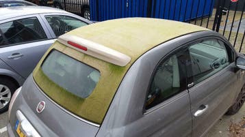 RaggTopp Cabriokap / softtop / onderhoudsmiddel / onderhoud, Ophalen of Verzenden