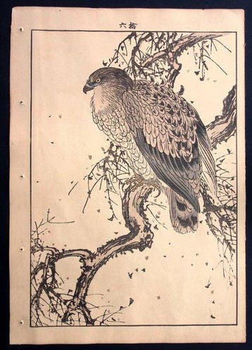 Hawk - Imao Keinen - Japan - Meiji periode (1868-1912)