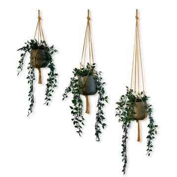 Voordeelset van 3 Plantenhangers - Okergeel - 60, 80, en, Huis en Inrichting, Ophalen of Verzenden, Nieuw