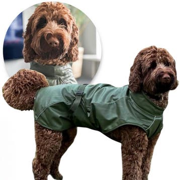 Honden Regenjas Raindog Groen ALLEEN XS en S (Hondenkleding), Ophalen of Verzenden, Nieuw, Hondenregenjas
