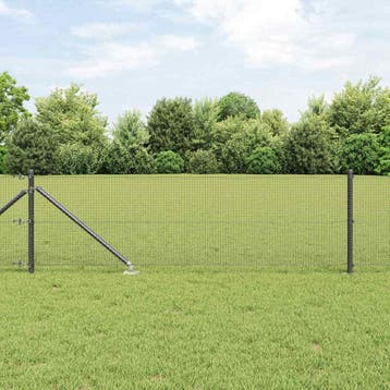 vidaXL gelast draadhek met grondpennen 100 x 0,6 m, Verzenden, Nieuw, IJzer