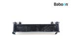 Oliekoeler Honda CBR 1100 XX Blackbird 1999-2006 (CBR1100XX, Motoren, Onderdelen | Honda, Verzenden, Gebruikt