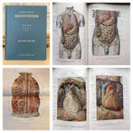 Eduard Pernkopf - Atlas der topographischen und angewandten