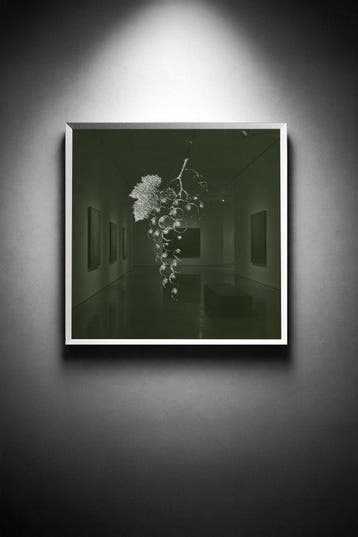Tijs Dragtsma (1992) - A Cluster Held in Green, Antiek en Kunst