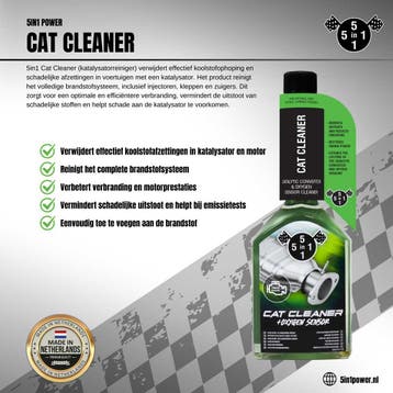 5in1 Katalysator Reiniger 310 ml, Verzenden
