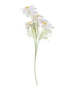 HEMA Kunstbloem galsang wit 2+1 gratis ; met je HEMA pas, Huis en Inrichting, Kamerplanten, Verzenden