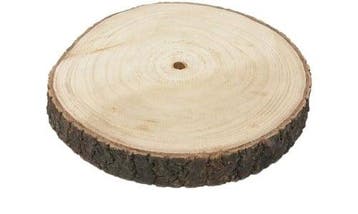 Boomstamschijf Paulonia Apollonia ca. 28-30 cm, Ophalen of Verzenden, Nieuw