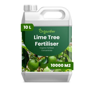 Vloeibare meststof voor limoenboom - 10 liters, Verzenden, Mest