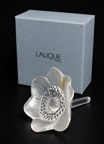 Lalique - Presse-papier - Anémone avec boîte - Kristal, Nieuw