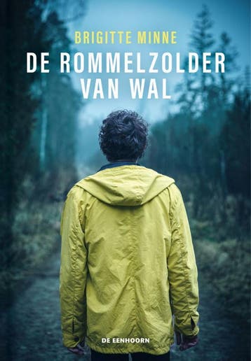 De rommelzolder van Wal - Brigitte Minne 9789462915947, Verzenden, Zo goed als nieuw, Brigitte Minne