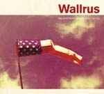 cd digi - Wallrus - The Wind Blows Witches From The Sky, Verzenden, Zo goed als nieuw