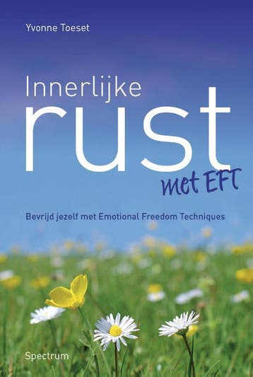 Innerlijke rust met EFT - Yvonne Toeset 9789049105884, Boeken, Psychologie, Verzenden, Zo goed als nieuw, Yvonne Toeset