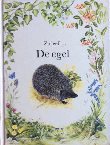 Zo leeft... de egel - Sheehan 9789025704797, Verzenden, Gelezen, Sheehan