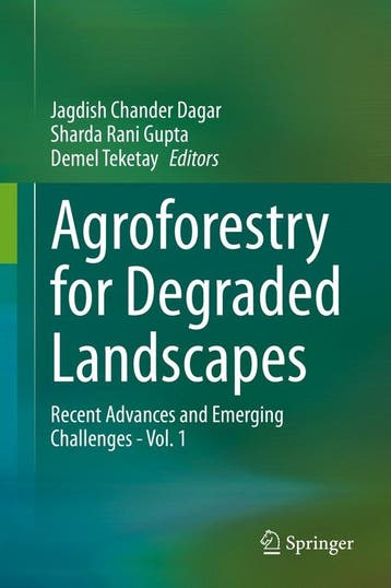 9789811541353 Agroforestry for Degraded Landscapes, Verzenden, Nieuw, Jagdish Chander Dagar