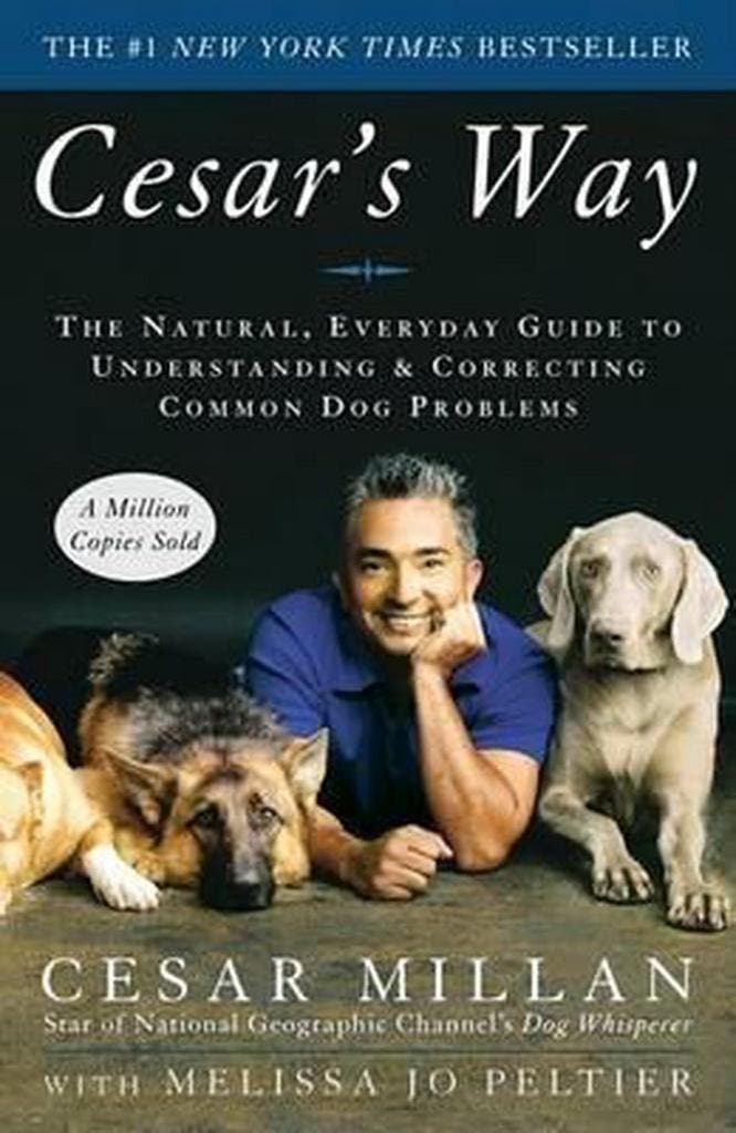 Cesars Way 9780307337979 Cesar Millan, Boeken, Taal | Engels, Gelezen, Verzenden