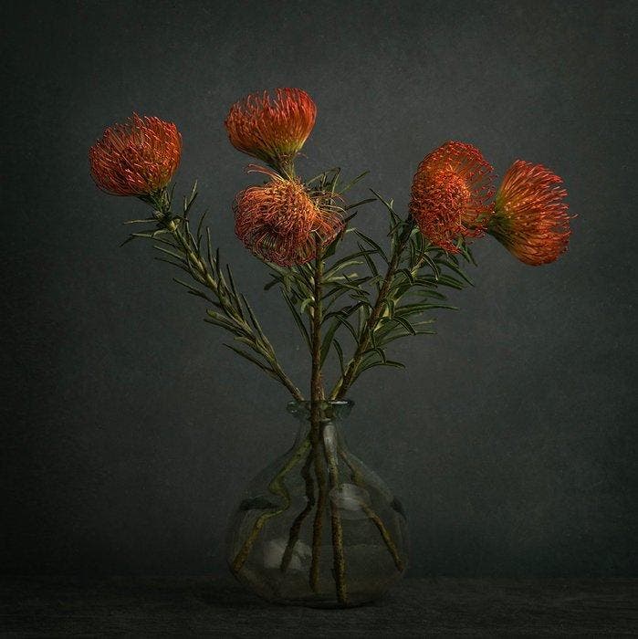 Tessa Posthuma de Boer - Proteas, Antiek en Kunst, Kunst | Designobjecten