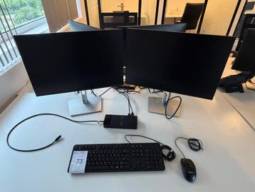 Online veiling: Dell, dockingstation met 2 monitoren en, Computers en Software, Overige Computers en Software, Nieuw